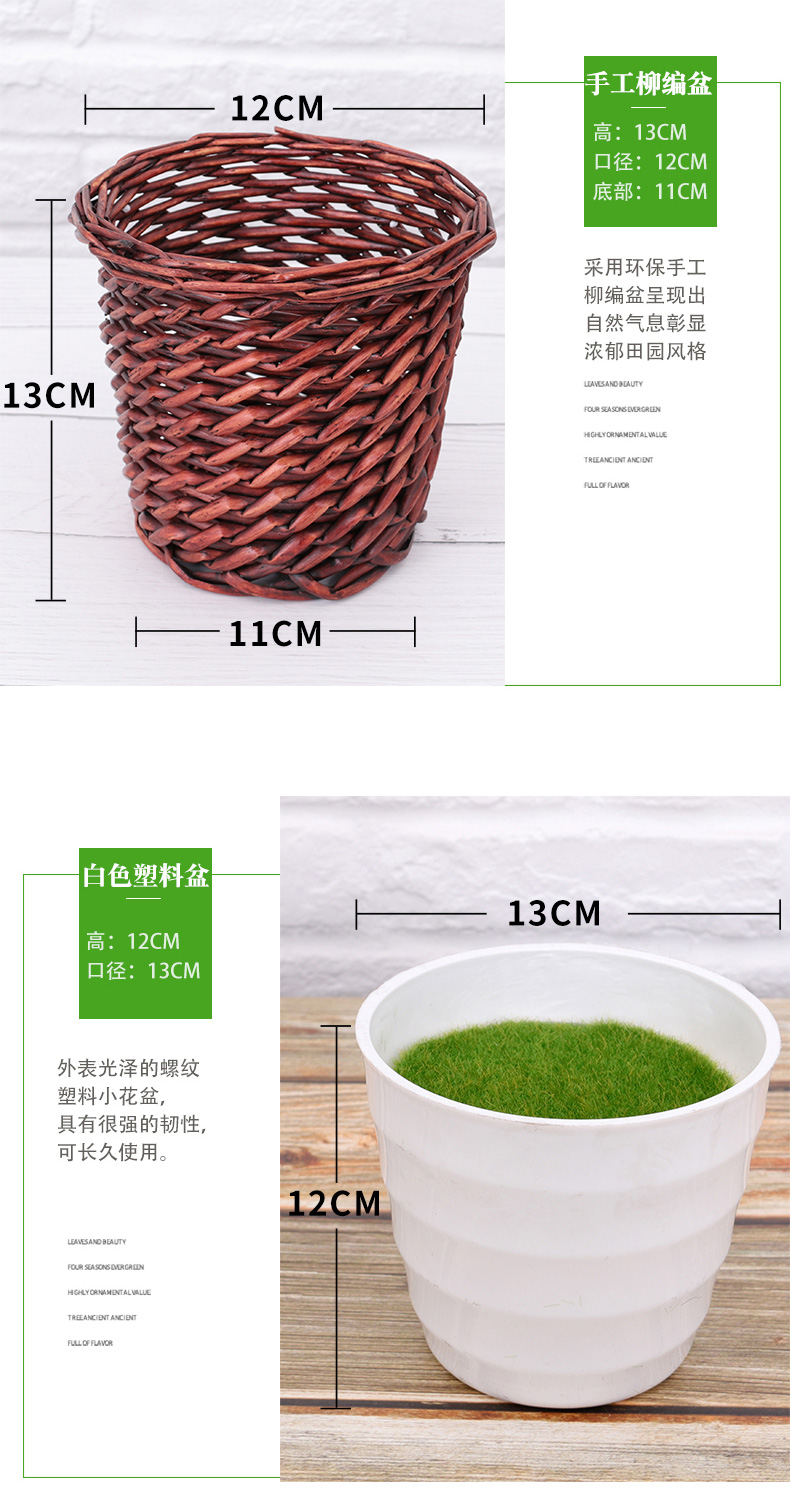 Cây giả xanh trồng trong chậu trang trí mô phỏng củ cải xanh cây cảnh nhỏ nhựa giả hoa trang trí trong nhà mô phỏng hoa và cây - Hoa nhân tạo / Cây / Trái cây hoa giả hạc