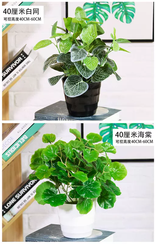 Mô phỏng cây trồng trong chậu hiển thị hoa giả cây xanh trang trí biển bream lá tía tô trong nhà màu xanh lá cây bonsai trang trí hoa nhựa - Hoa nhân tạo / Cây / Trái cây