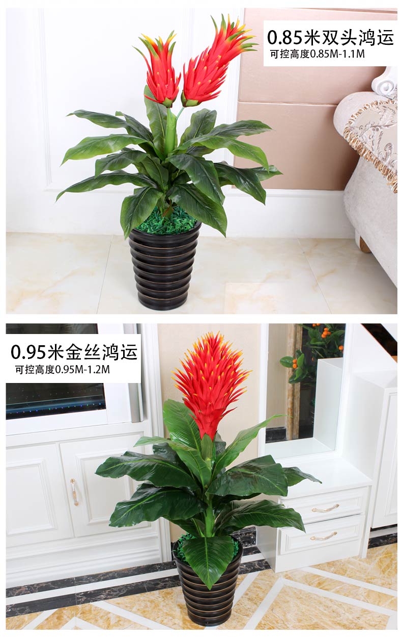 Hoa giả may mắn cây giả mô phỏng cây trong chậu nhựa sàn hoa lớn trong nhà phòng khách trang trí trang trí - Hoa nhân tạo / Cây / Trái cây hoa mai giả