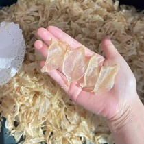 Flower glue Prince to open a small white flower glue