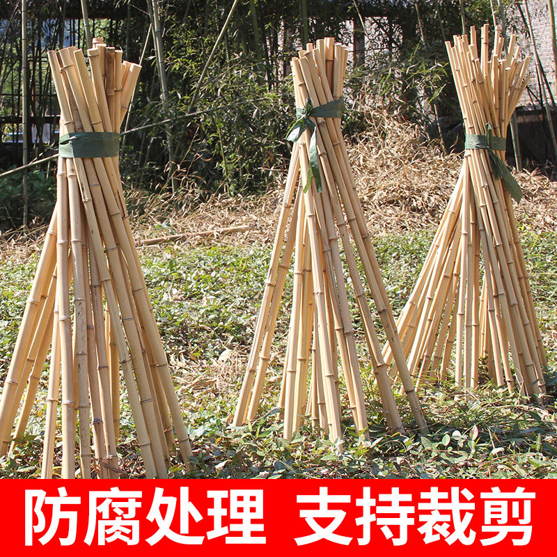 Outdoor Bamboo Pole Colorful Garden with Bamboo Fence Fence Fence Fence Bamboo Bamboo Anti-corrosion Bamboo Bamboo Bamboo Bamboo Bamboo Bamboo Bamboo Bamboo Bamboo Bamboo Bamboo Bamboo Bamboo Bamboo Bamboo Bamboo