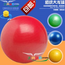 Childrens sensory integration training Educational toy Dalong Ball Traditional early education parent-child fitness sports equipment Massage yoga ball