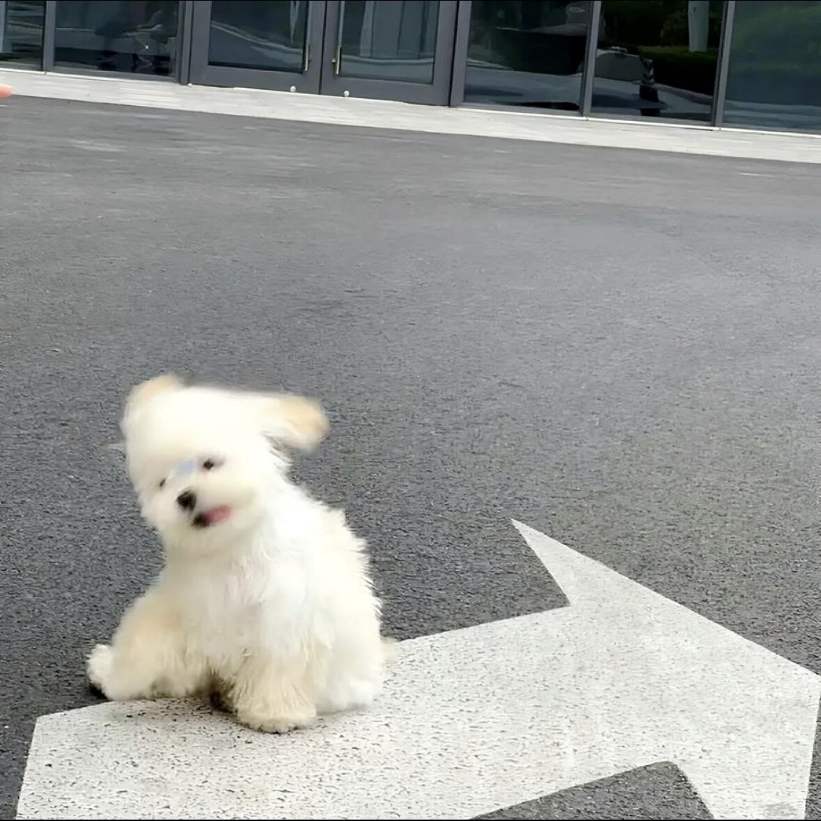 叫我可可