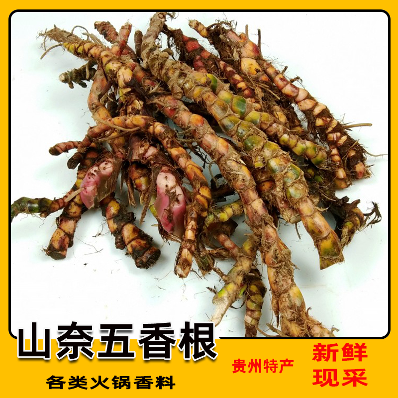 Guizhou deep mountain handy root 500g kaemanae five-spice root fennel calamus root fish beef mutton dog meat spices