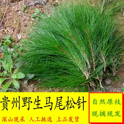 Masson pine needles 2kg, Guizhou deep mountains, old pine needles, pine needles, tea and wine