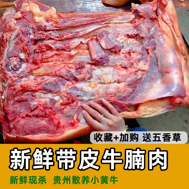 Guizhou Province with leather beef brisket 10 catty of raw ecological tender beef farmhouse scattered with five flowers beef small scalloin and fresh
