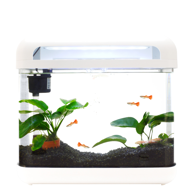 Hi High Fish Tank Home Living Room Small Ornamental Aquarium Mini