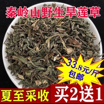 Qinling Wild Dry Lotus Grass 500g Ink Dry Lotus Herbal Medicine Herbal Medicine Dry Lotus Grass For Another Sale of Glossy Herbs