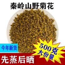 Qinling Special Grade Wild Chrysanthemum 500g Chinese herbal medicine wild Chrysanthemum Flower Tea Chamomile Tea Rice Fetal and Chrysanthemum Bulk