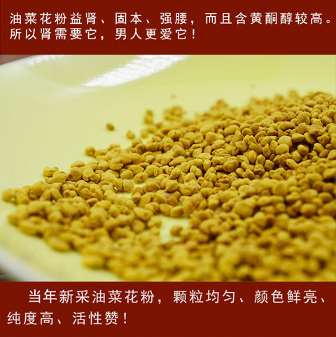 油菜花粉_04.jpg