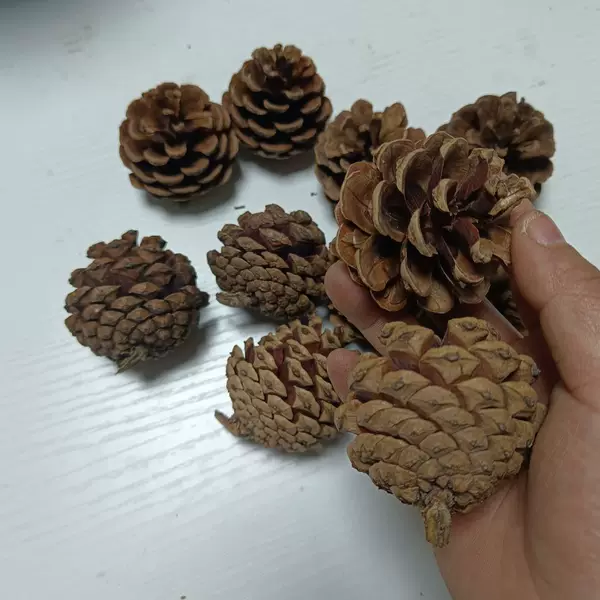 Товары от 彷真花手工坊