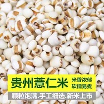 Pearl barley pearl barley rice kernel New goods Guizhou pearl barley rice 500g can be matched with red bean red bean five grain coarse grain coarse grain oil bag