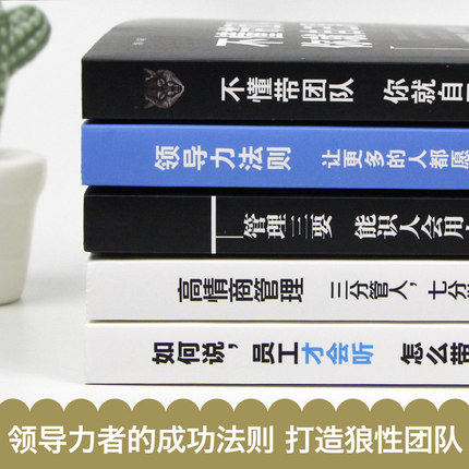 A complete set of 5 books on management, rules of success for leaders, common sense, execution, knowing people, employing people and managing people, and you will be tired if you don’t know how to lead a team. Sales is all about getting people, start-up companies, management companies 622