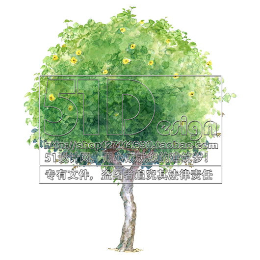 SC00018国外手绘风格植物景观配景图片JPG素材中英名称50树...-5