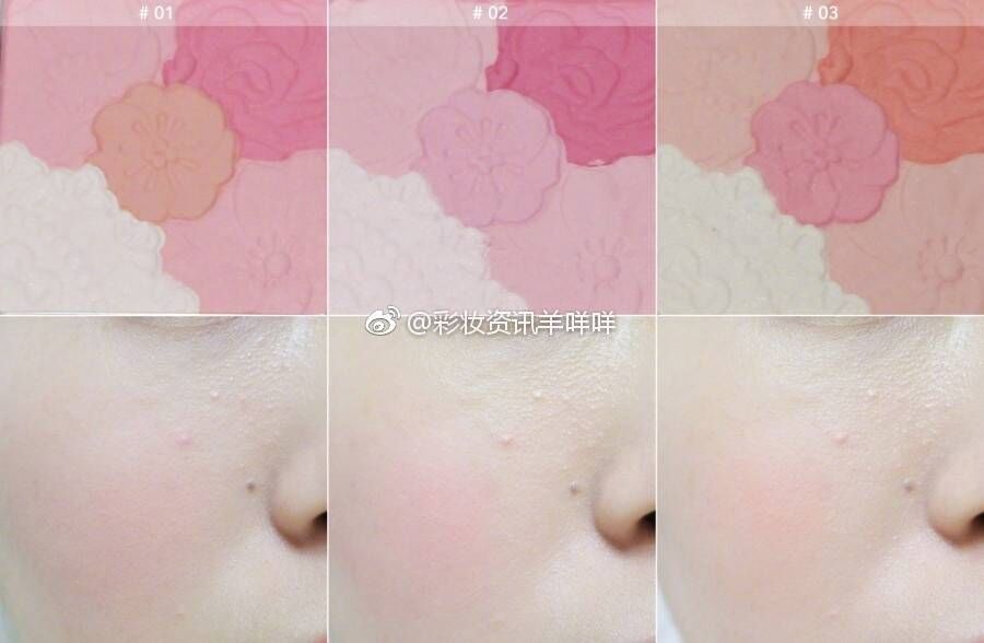 Spot Japan canmake cánh hoa mìn má hồng nổi bật sửa chữa năng lực màu hồng ngọc trai mờ - Blush / Cochineal phấn má nars