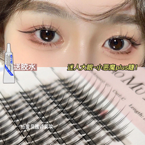 twelve Rows Large Capacity Playful Workshop Little Devil Plus Fake Eyelash New Hands Natural Single Tuft Eyelash Send Glue