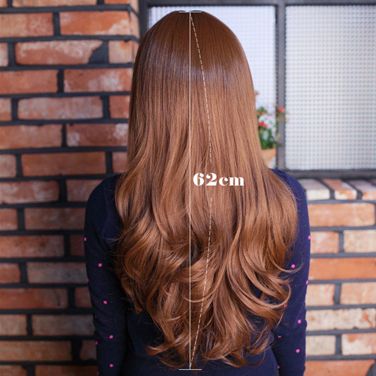 Perruque OTHER   Les cheveux longs - Ref 2608115 Image 9