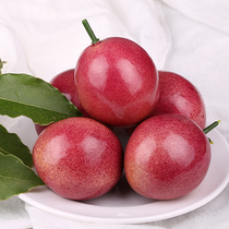 Emulated Thyme Fruit Model Foam Fruit Vegetable Egg Fruit West Palate Shooting Props Children Early Education Toys