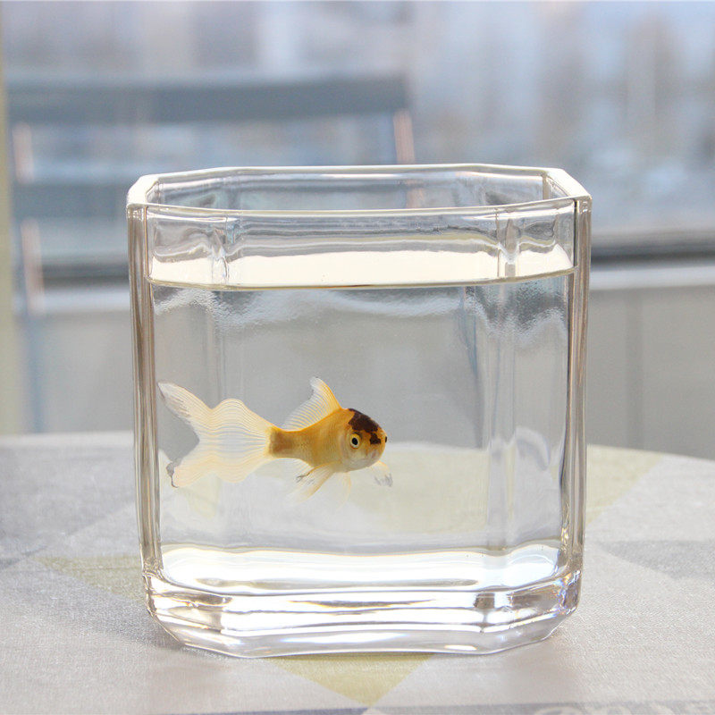 Small fish tank transparent square glass goldfish tank turtle tank creative octagonal office desktop thickened mini square tank