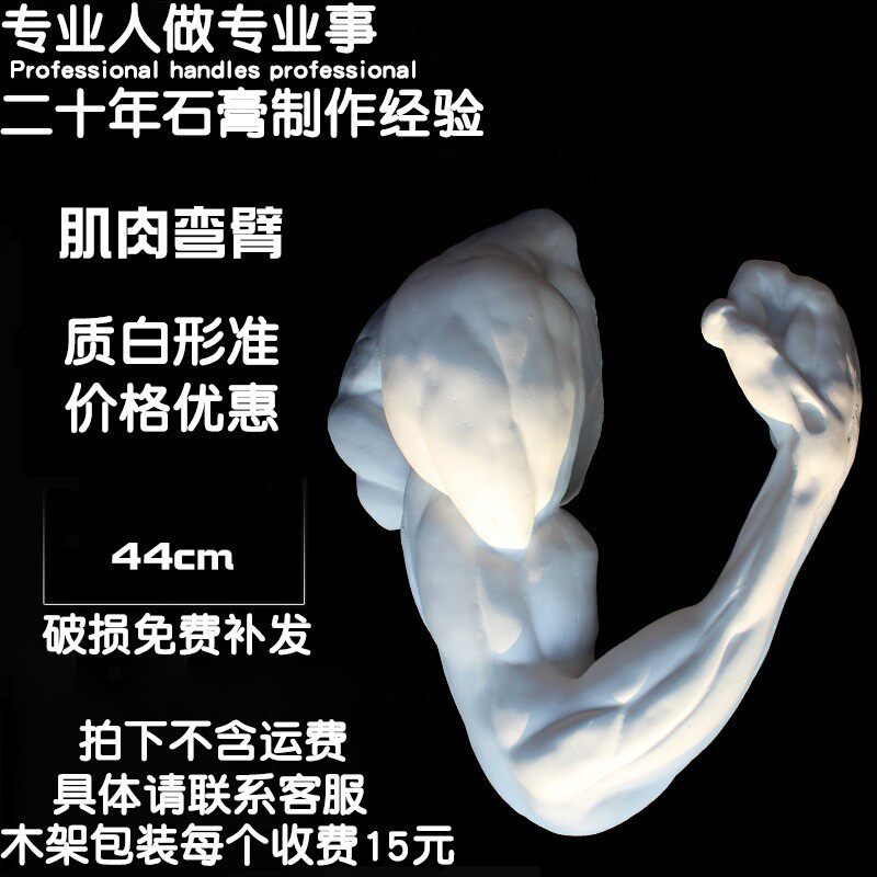 Anatomic body bends arm muscle plaster image teaching aid sketch drawing art