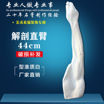 Anatomy straight hand plaster statue straight arm sketch still life sculpture factory direct sale art plaster statue hand plaster