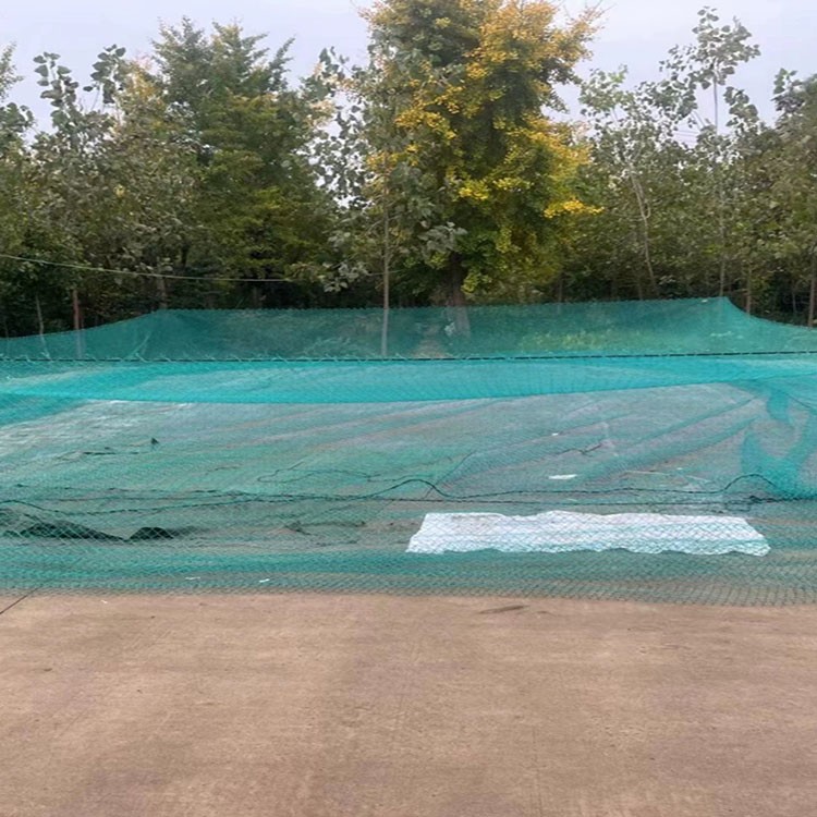 黑马网业