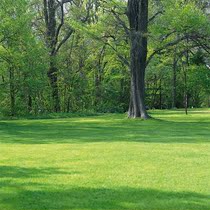 The scenic view of the character is written true 001