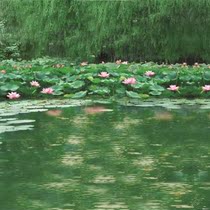 The scenic view of the character is written true 001