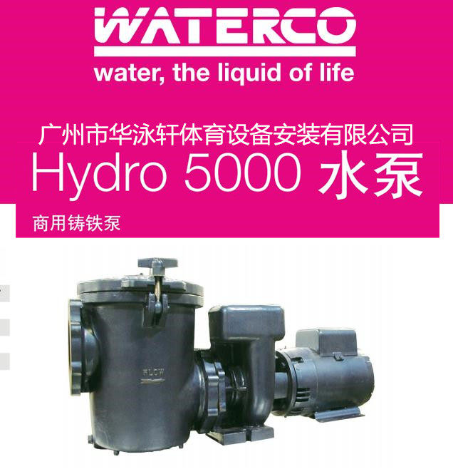 Australia Waterco Water Transport High Hydro5000 Pool Hot Spring Commercial Cast Iron Water Pump 5 5-20HP