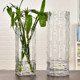 Modern minimalist rich bamboo vase ornaments transfer living room glass flower arrangement transparent extra large hydroponic home landing