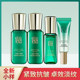 Small and Medium-Sized Sample Trial Pack Pechoin Classy Lightening Ginseng Polypeptide Repair Frame Facial Water Emulsion Essence Cream Firming and Moisturizing