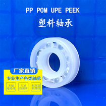 PP corrosion resistant plastic bearing 6000 6001 6002 6003 6004 6005 6006 600 7 waterproof