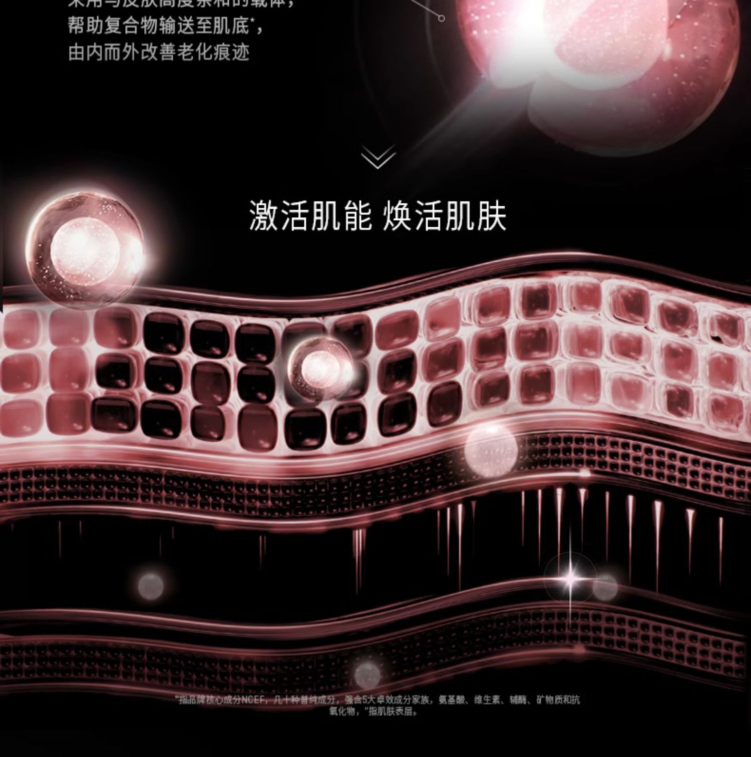 FILORGA 菲洛嘉 NCEF肌源赋活精华 30ml 天猫优惠券折后￥215包邮（￥859-614）