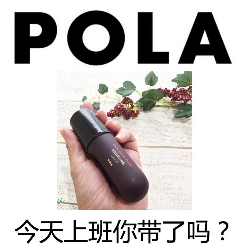 Direct mail Japan's local POLA white hair hair dyeing pen disposable hair brush 10ML black dark brown portable