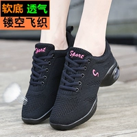 008 Черно -лостое летает