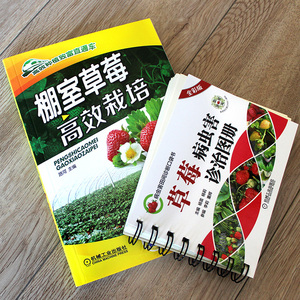 【草莓种植栽培技术大全书籍】棚室高效栽培病虫害诊治图册防治教程种育苗栽培和精细化管理的资料教程病农业图书温室书怎么架无土