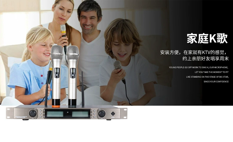 U phần một với hai dây micro KTV karaoke hội nghị OK nhà micro chuyên dụng sân khấu giá micro không dây
