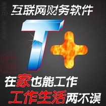 T popular version standard version financial software company account bookkeeping off-site office use with dongle package installation