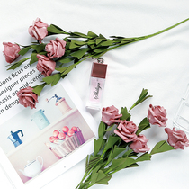 ins Nordic retro wind rose bouquet Beauty makeup Home Taobao shooting props Flowers Shadows photo background