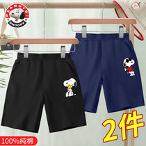 Shnubi Pure Cotton Shorts Outwear Summer Children Sports Pants Summer Ultra-Ocean Korean Version Boy Pants Tide Summer Clothing