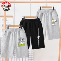 Shnubi children shorts boy summer all-cotton boy dress mans new handsome boy summer clothes pants loose summer sss