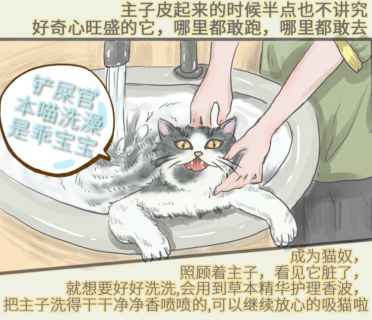 想 -Cat dầu gội mèo đặc biệt chất lỏng tắm 500Ml / chai dầu gội nhà nước - Cat / Dog Beauty & Cleaning Supplies 	găng tay chải lông rụng mèo	