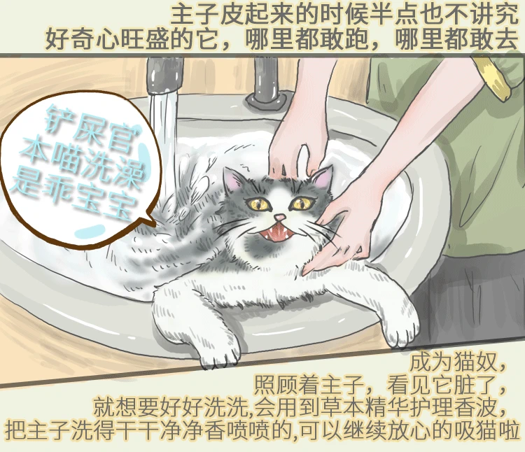 想 -Cat dầu gội mèo đặc biệt chất lỏng tắm 500Ml / chai dầu gội nhà nước - Cat / Dog Beauty & Cleaning Supplies