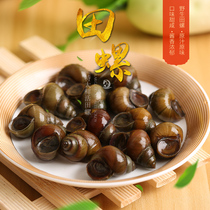 Weishan Lake field snail meat fresh fresh wild fresh water living small screw meat snail powder 4kg