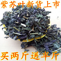 Perilla leaves dried perilla deodorized perilla roasted fish shrimp and crab spices Chinese medicinal materials in bulk 500g in bulk