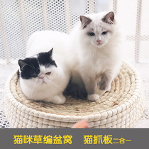 Big cat nest Oversized bowl-shaped cat scratching board CAT toy GRASS-woven cat bowl CLAW pad CAT scratching box 