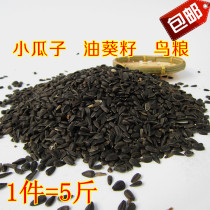 Black pearl Small melon seeds Sunflower seeds Oil Sunflower seeds Parrot bird food Hamster snacks bird food five kg