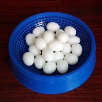 Quality fake pigeon egg non-flooding solid pigeon false egg pigeon supplies Eggs Supplies Meat Dove Dove Dove Dove Dove