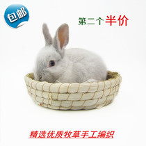 Rabbit warm grass nest Guinea pig nest Pet supplies Rabbit nest Dutch pig cute nest lop rabbit pigeon nest