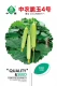 Zhongnong Crispy Jade № 4 100 Gragon Gragon Gragrita Platform Panana Capital Chinese Academy of Searnult Sciences Select